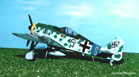 Fw 190 A8